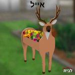 אייל