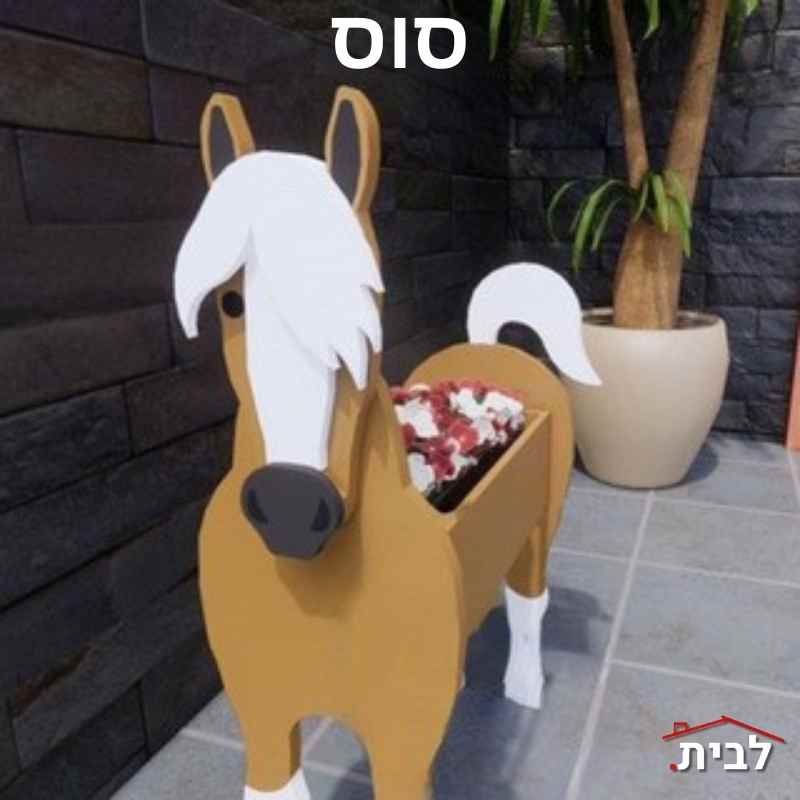 סוס