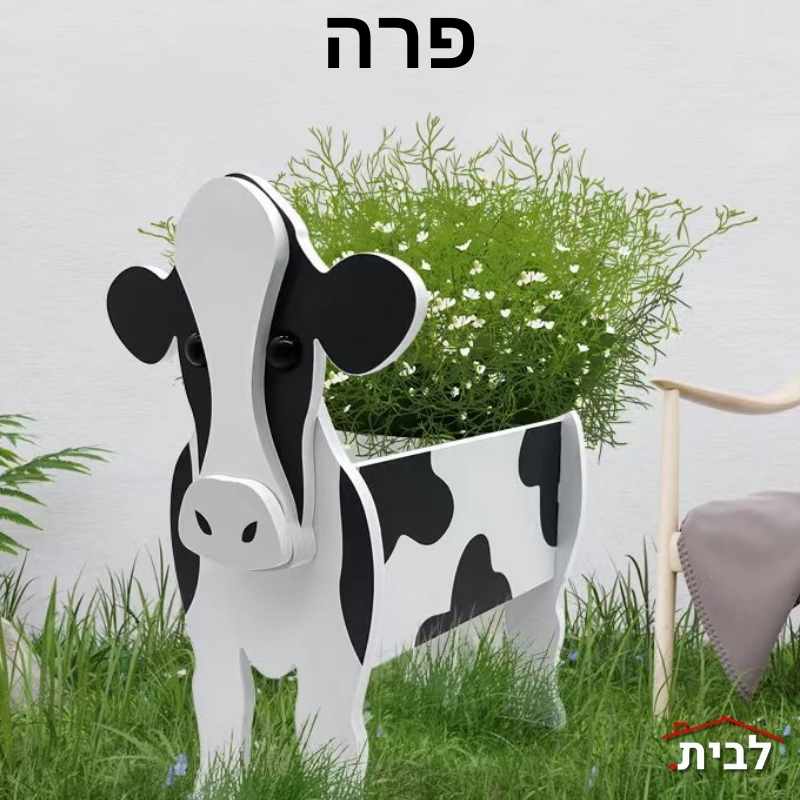 פרה